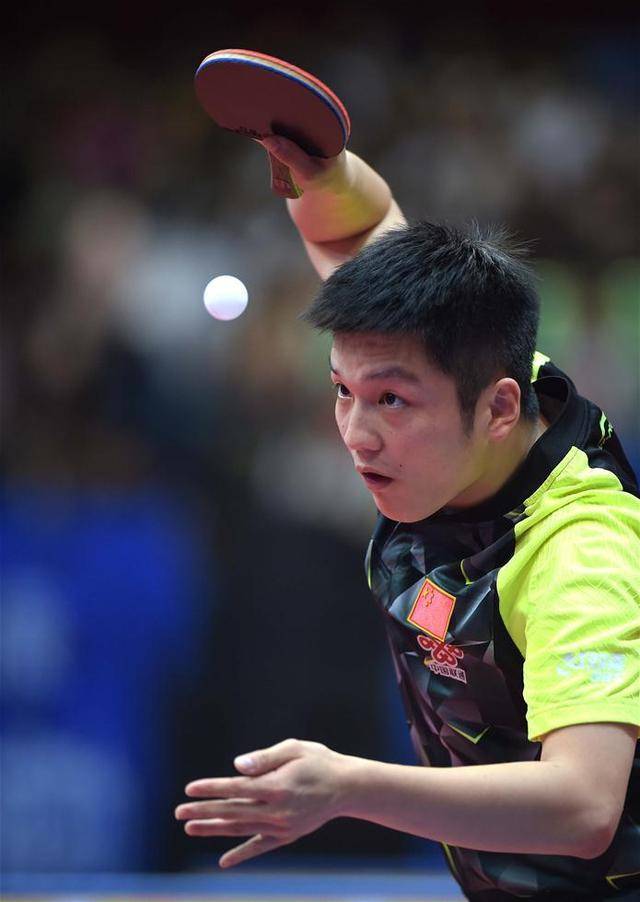 祝贺樊振东！连赢2场德甲告别低迷，此前爆冷输排名302位选手